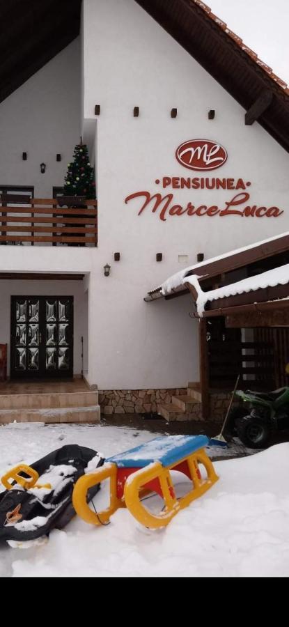 Pensiunea Marceluca Hodosa ภายนอก รูปภาพ